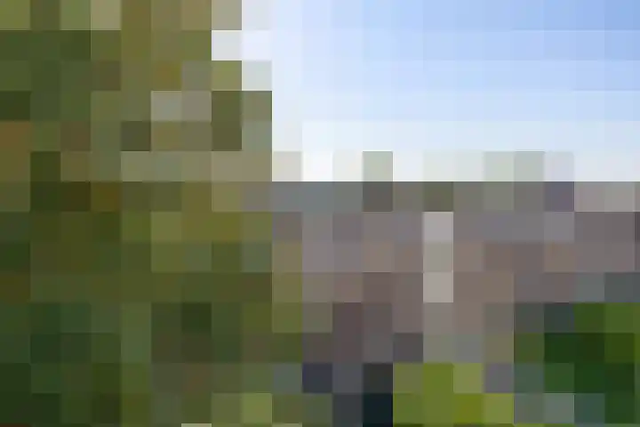 Schieweg 206 B Rotterdam thumbnail 28