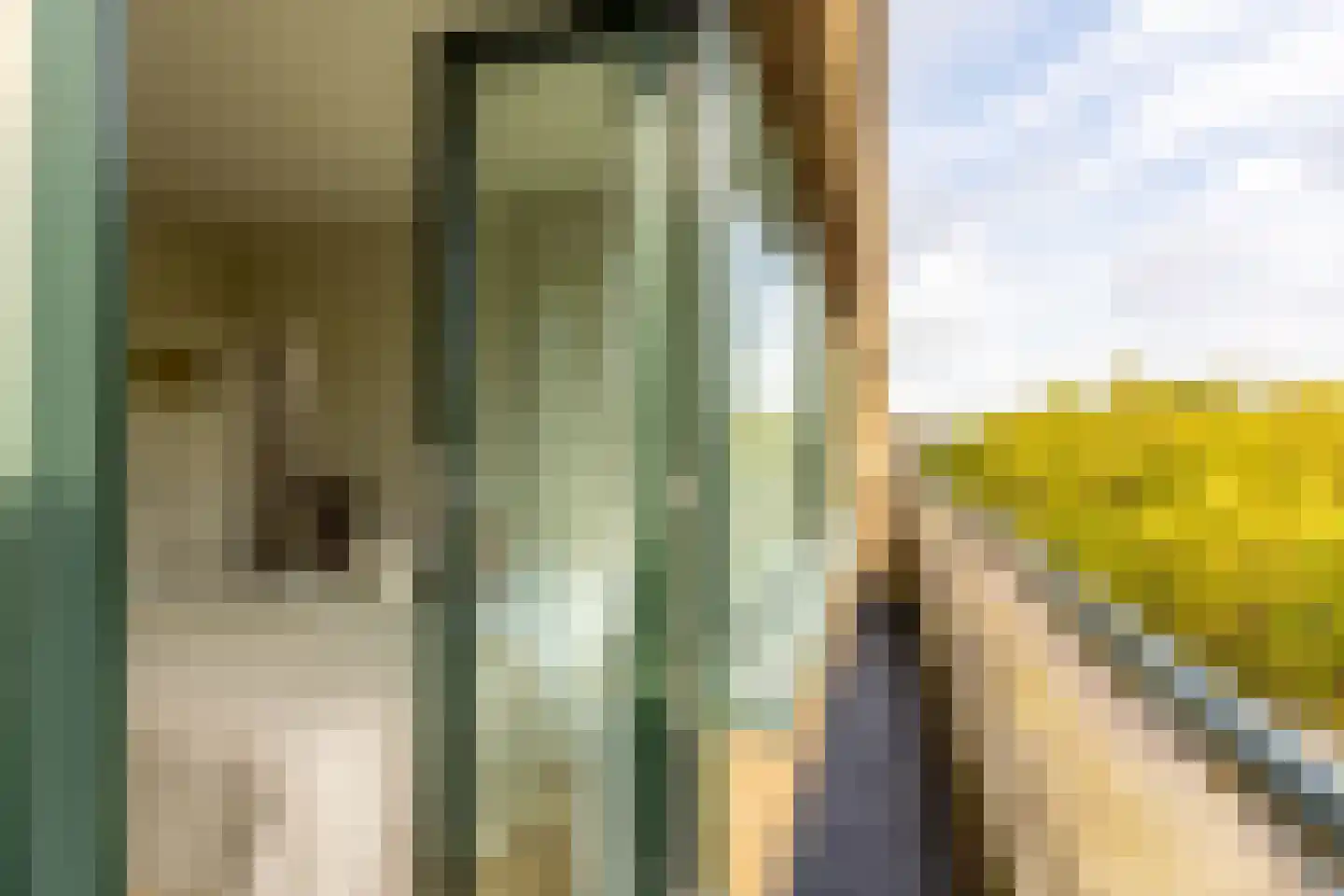 Schieweg 206 C 03 Rotterdam thumbnail 30