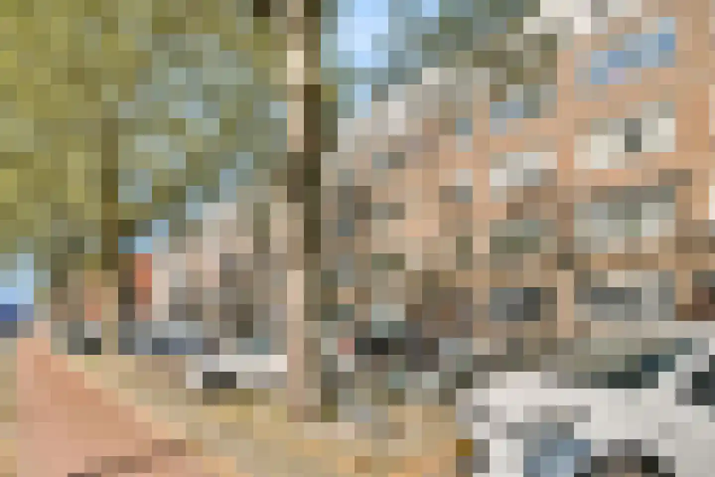 Schieweg 213 B 03 Rotterdam thumbnail 16