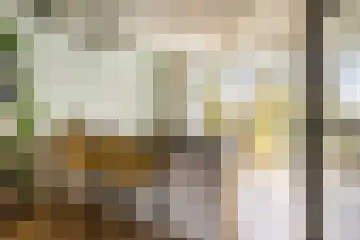 Schieweg 22 D in Rotterdam