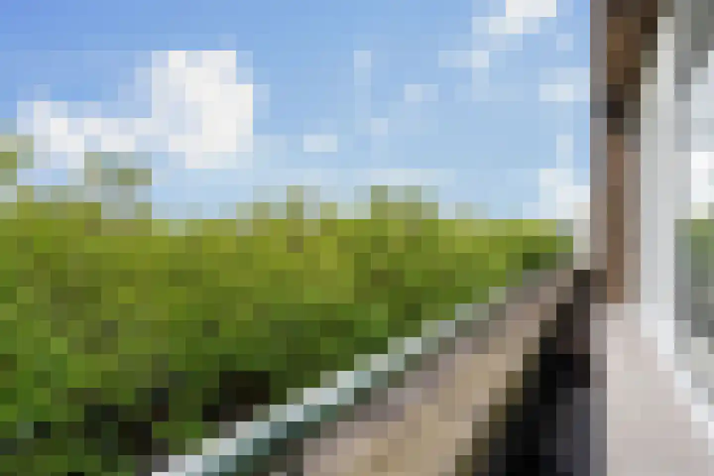Schieweg 220 C 03 Rotterdam thumbnail 27