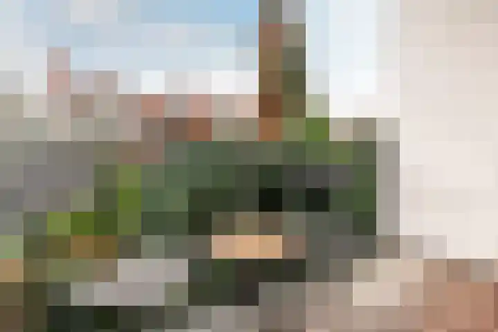 Schieweg 225 A 01 Rotterdam thumbnail 5