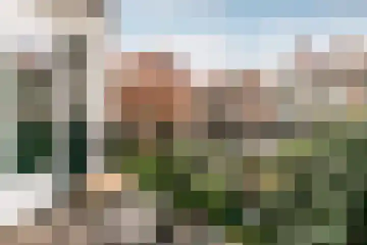 Schieweg 225 A 01 Rotterdam thumbnail 6