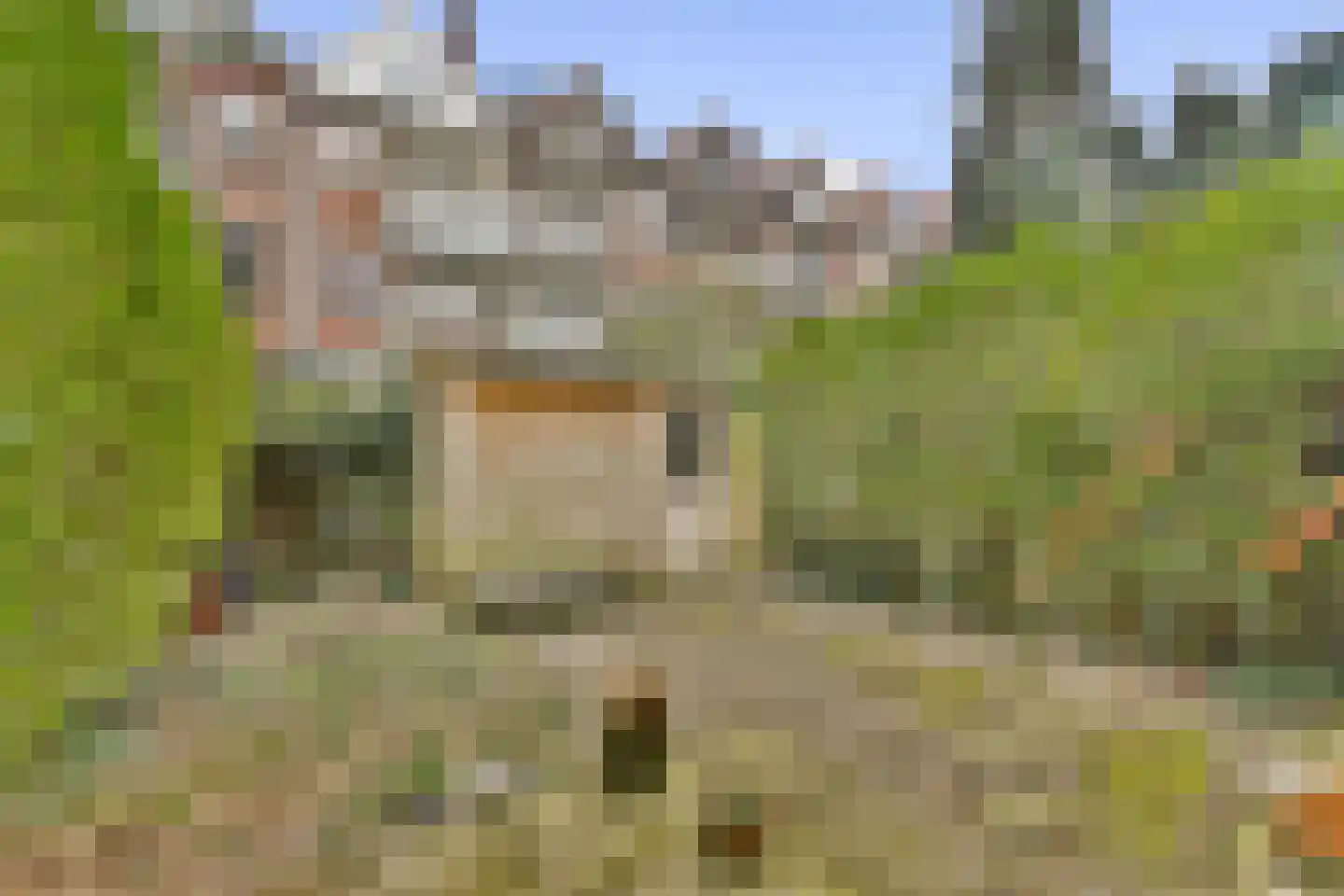 Schieweg 227 B BG Rotterdam thumbnail 19