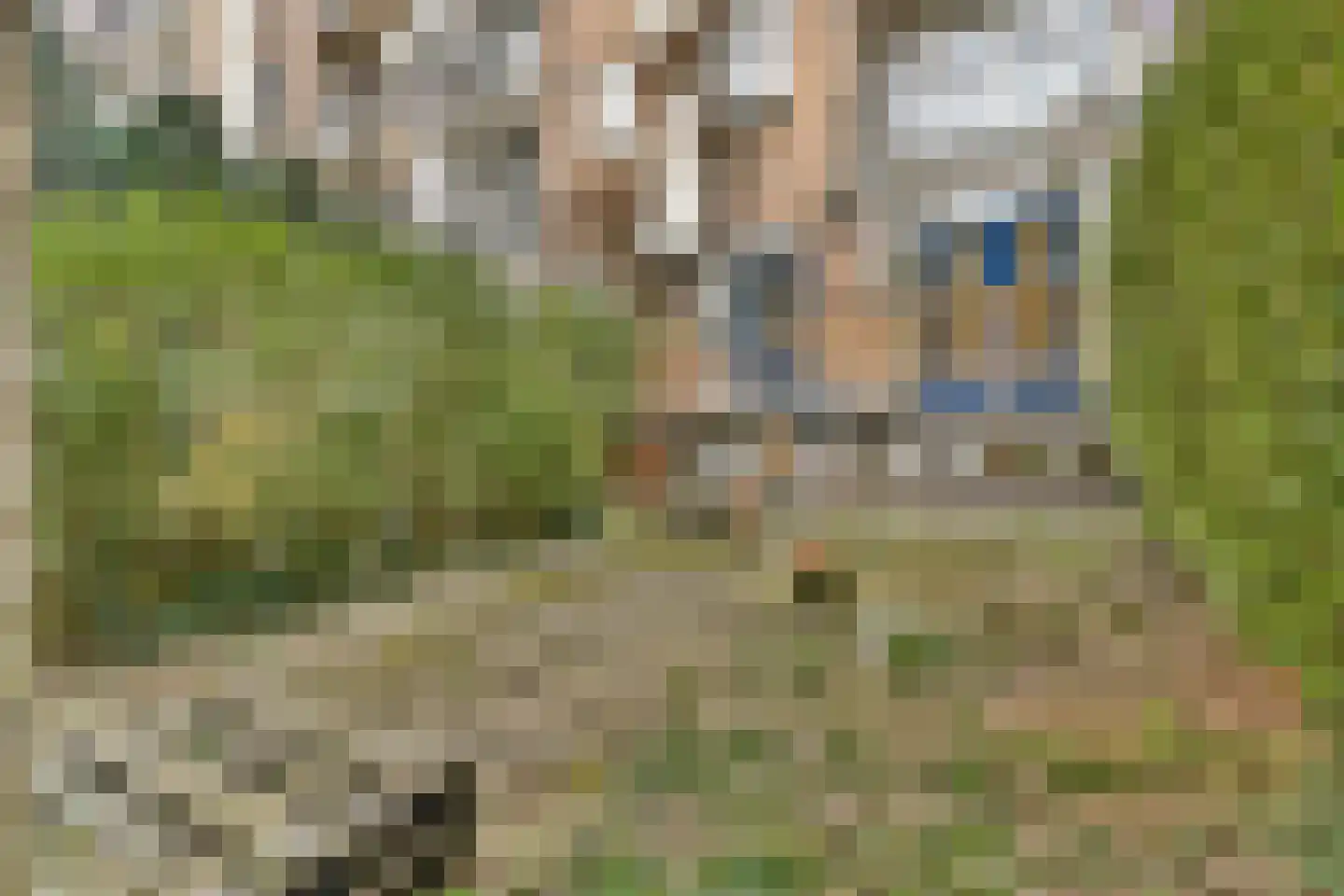 Schieweg 227 B BG Rotterdam thumbnail 20