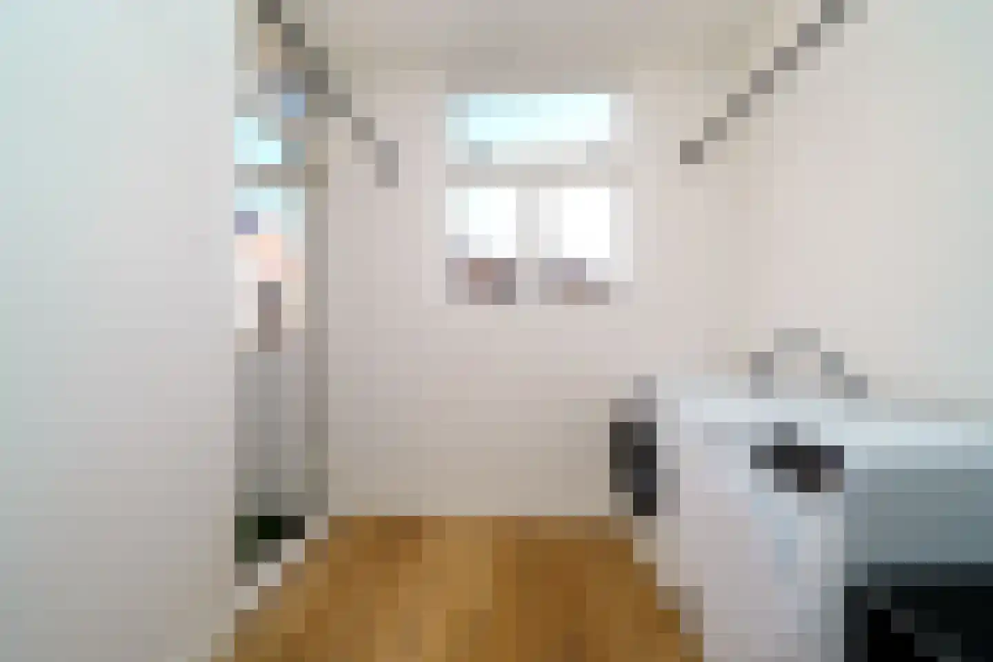 Schieweg 231 B 01 Rotterdam thumbnail 22