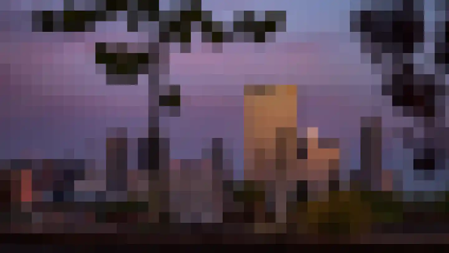 Schieweg 231 B 01 Rotterdam thumbnail 27