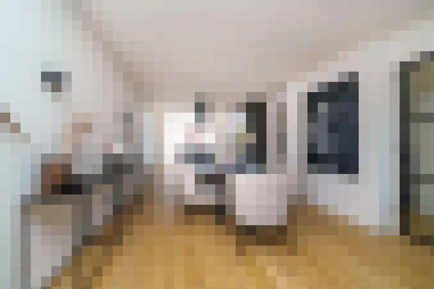 Schieweg 231 B 01 Rotterdam thumbnail 8