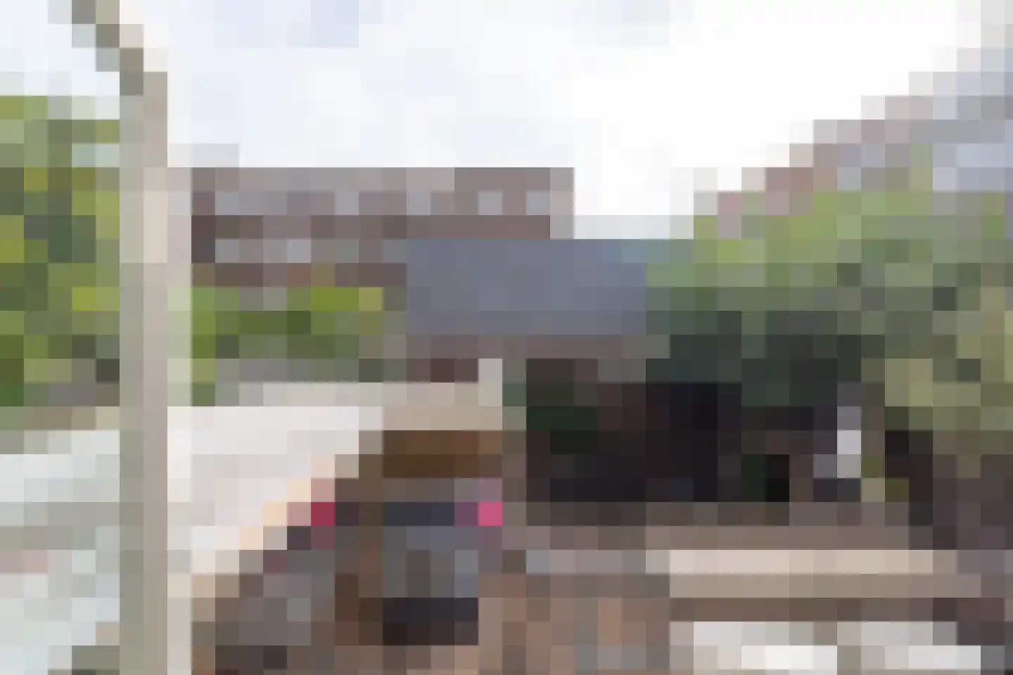 Schieweg 237 A Rotterdam thumbnail 43