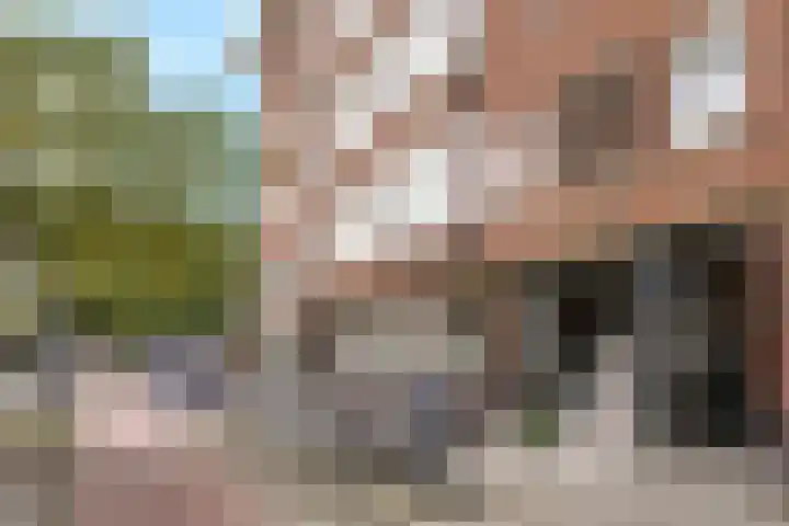 Schieweg 240 C 02 Rotterdam thumbnail 28
