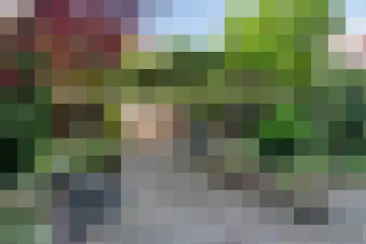 Schieweg 243 D Rotterdam thumbnail 23