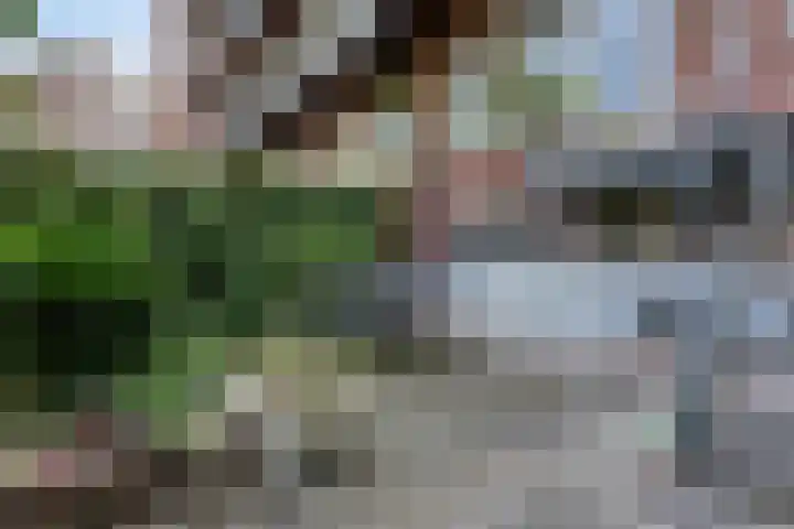 Schieweg 243 D Rotterdam thumbnail 24