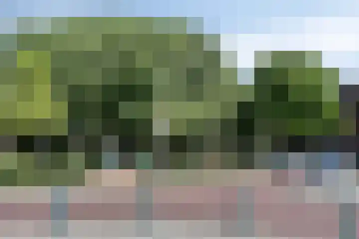 Schieweg 243 D Rotterdam thumbnail 25