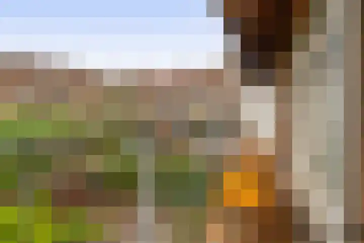 Schieweg 243 D Rotterdam thumbnail 5