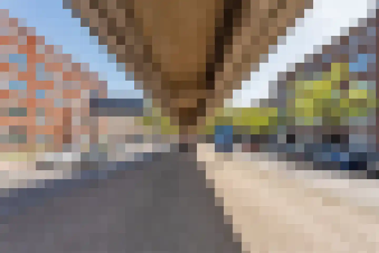 Schieweg 244 C 02 Rotterdam thumbnail 24