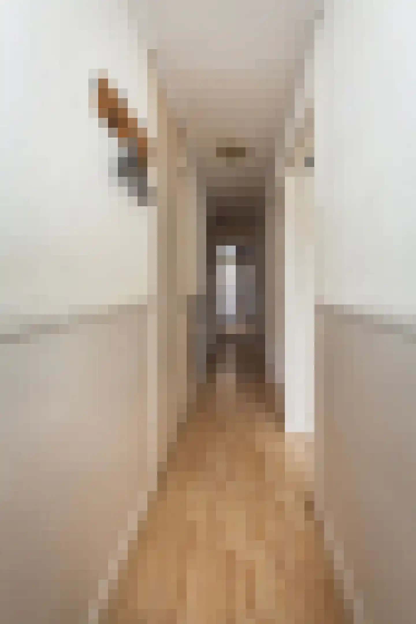 Schieweg 3 02 Rotterdam thumbnail 4