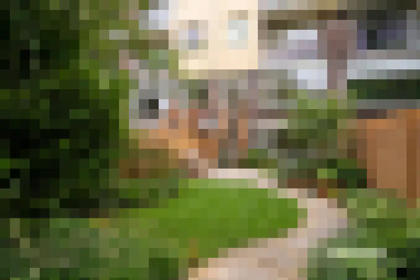 Schieweg 32 A Rotterdam thumbnail 16