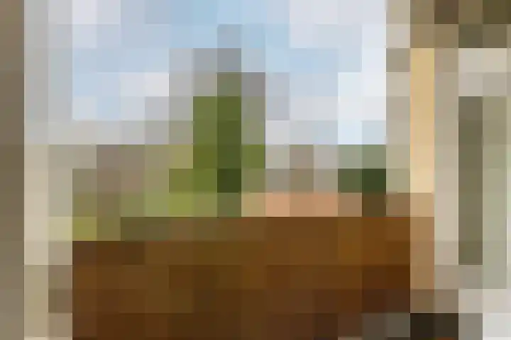 Schieweg 32 D Rotterdam thumbnail 13