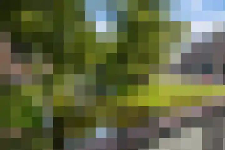 Schieweg 34 B Rotterdam thumbnail 32