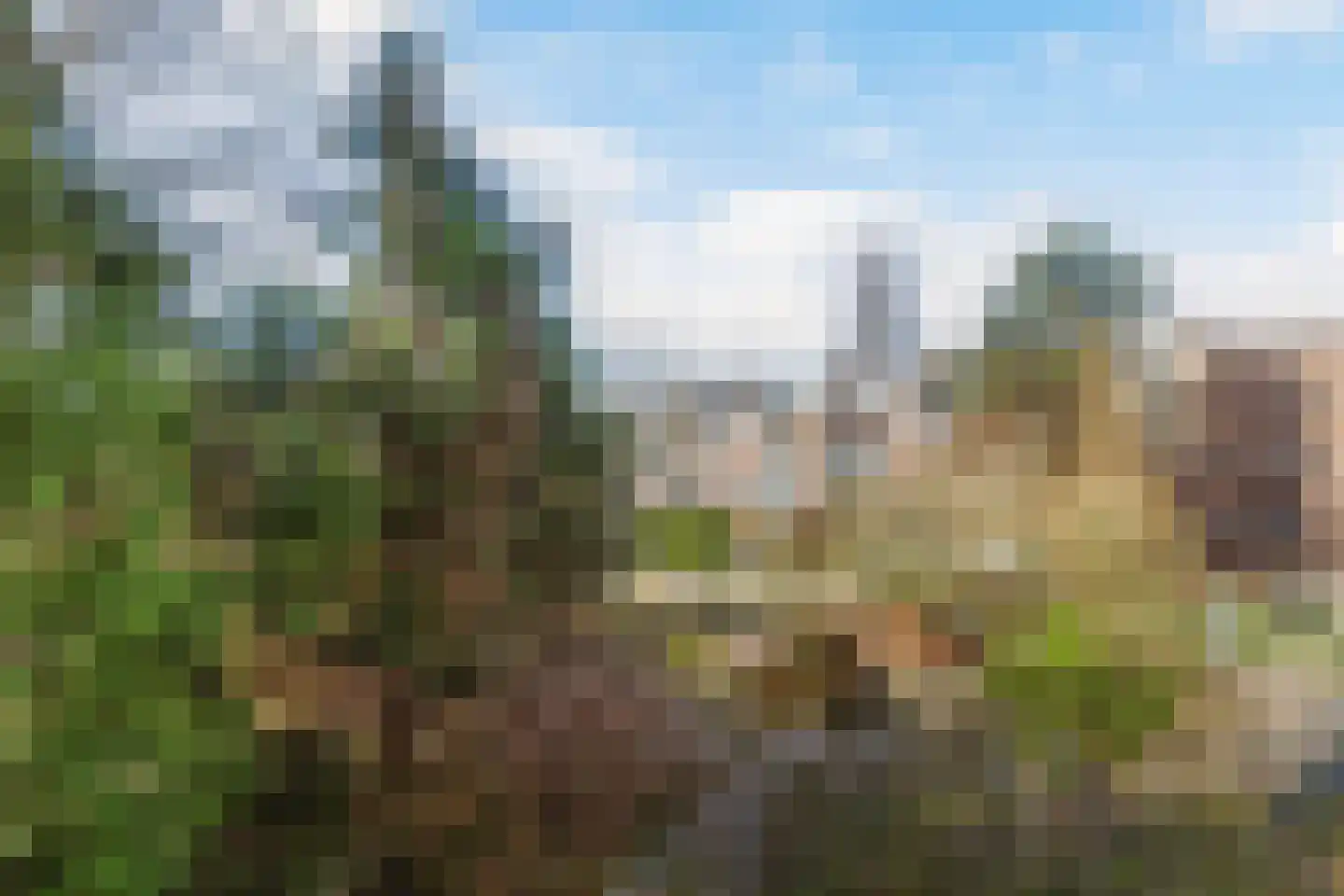 Schieweg 44 D Rotterdam thumbnail 13
