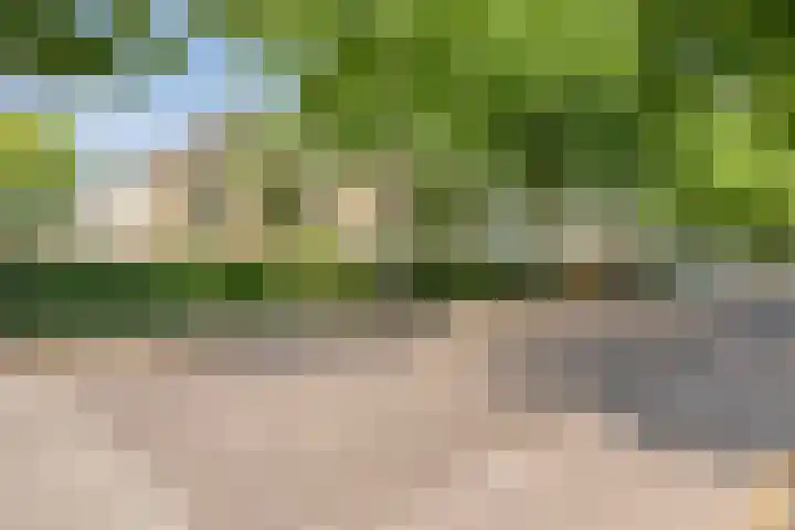 Schieweg 44 D Rotterdam thumbnail 9