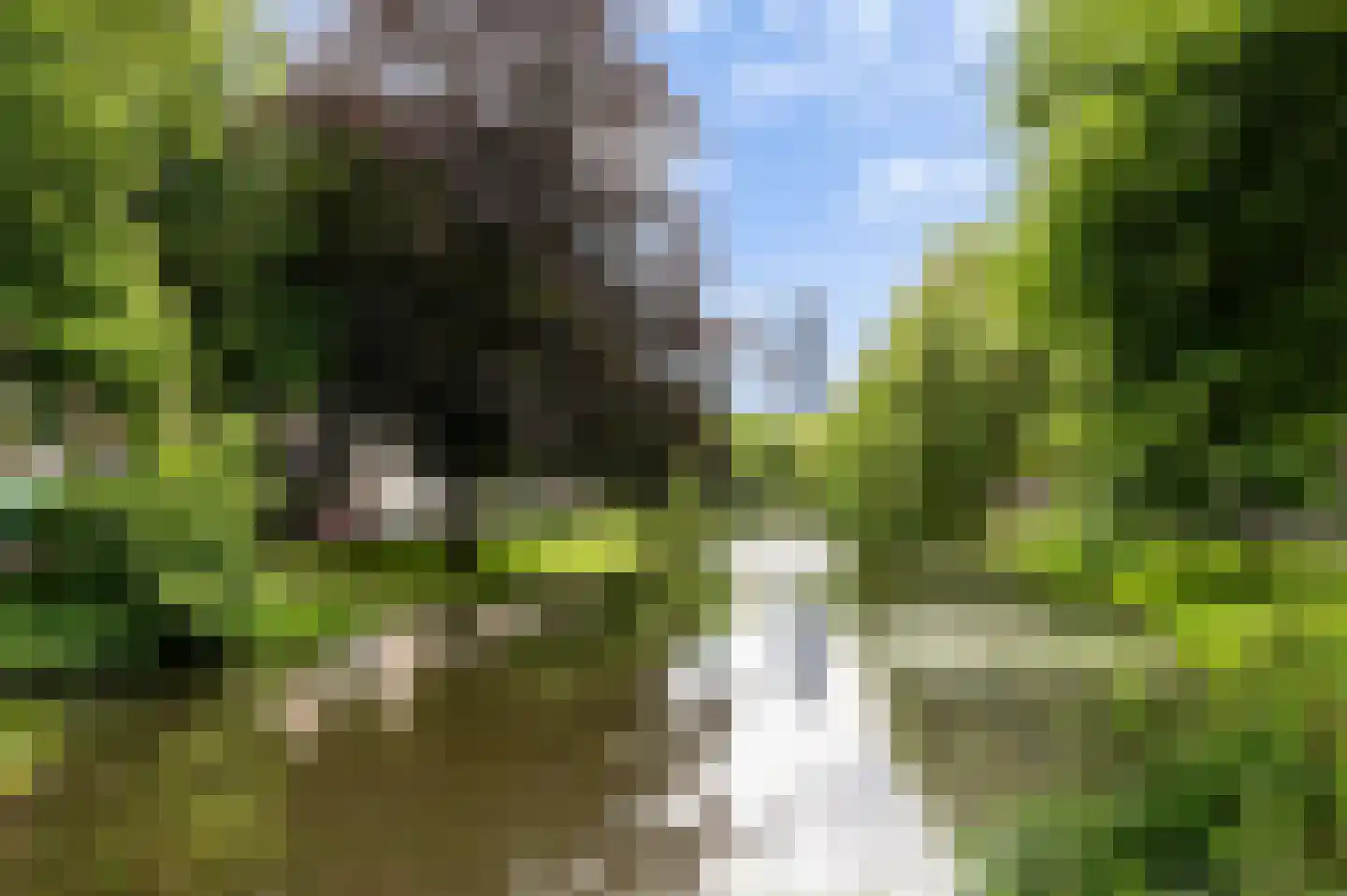 Schieweg 52 A Rotterdam thumbnail 38
