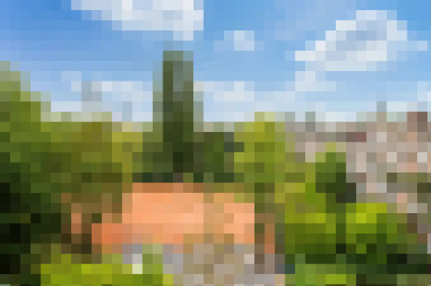 Schieweg 52 A Rotterdam thumbnail 5