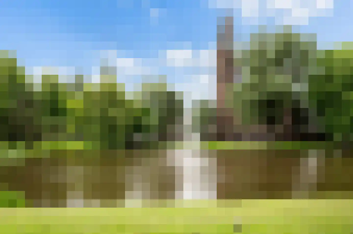 Schieweg 52 A Rotterdam thumbnail 7