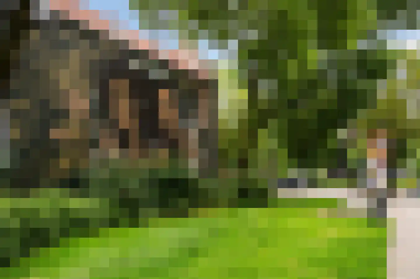 Schieweg 52 D Rotterdam thumbnail 39