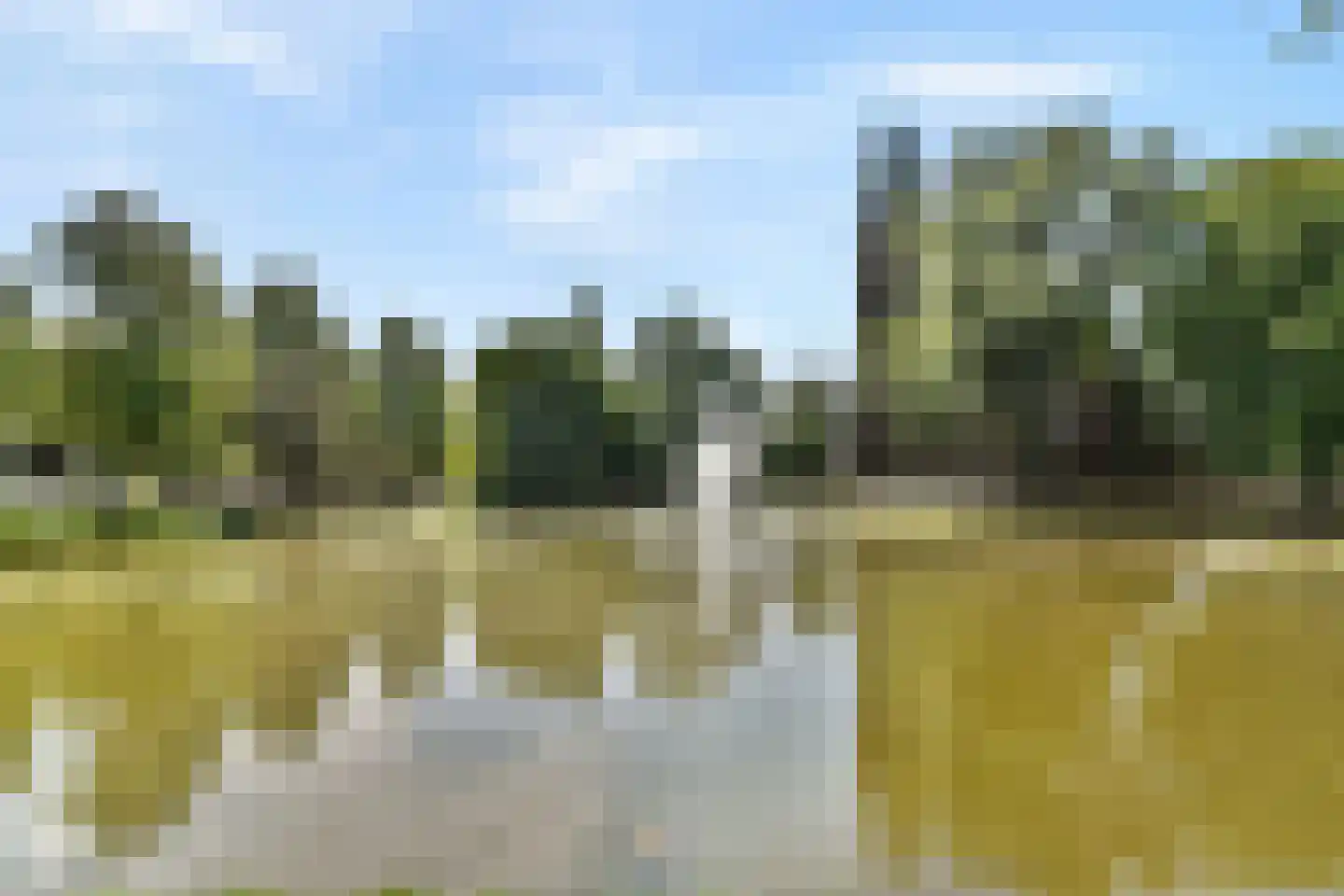 Schieweg 54 B Rotterdam thumbnail 28