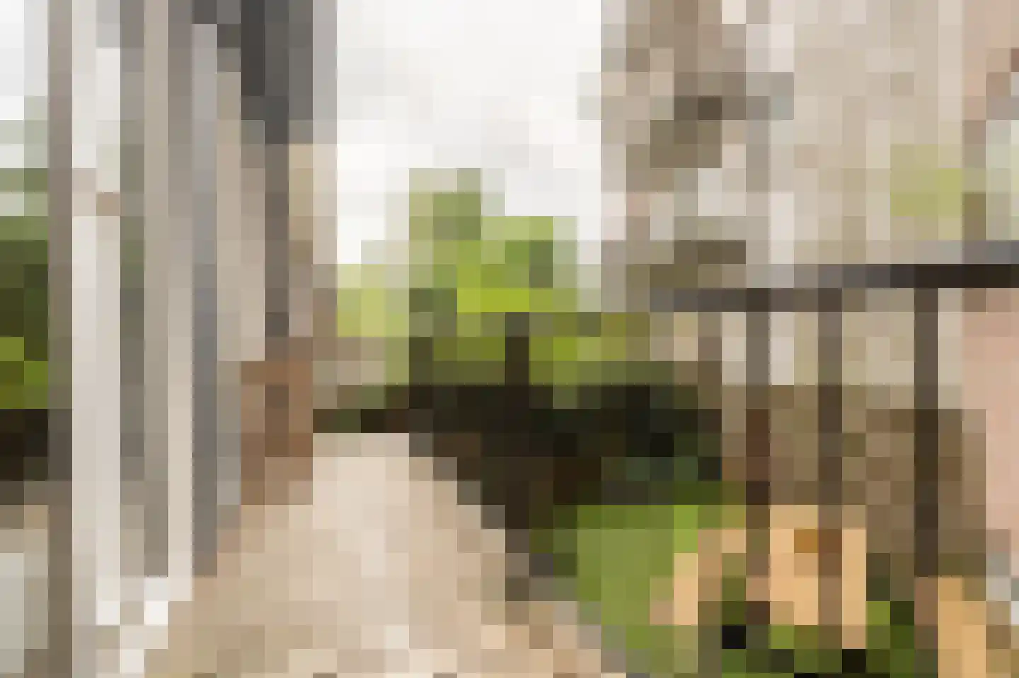Schieweg 63 A Rotterdam thumbnail 31
