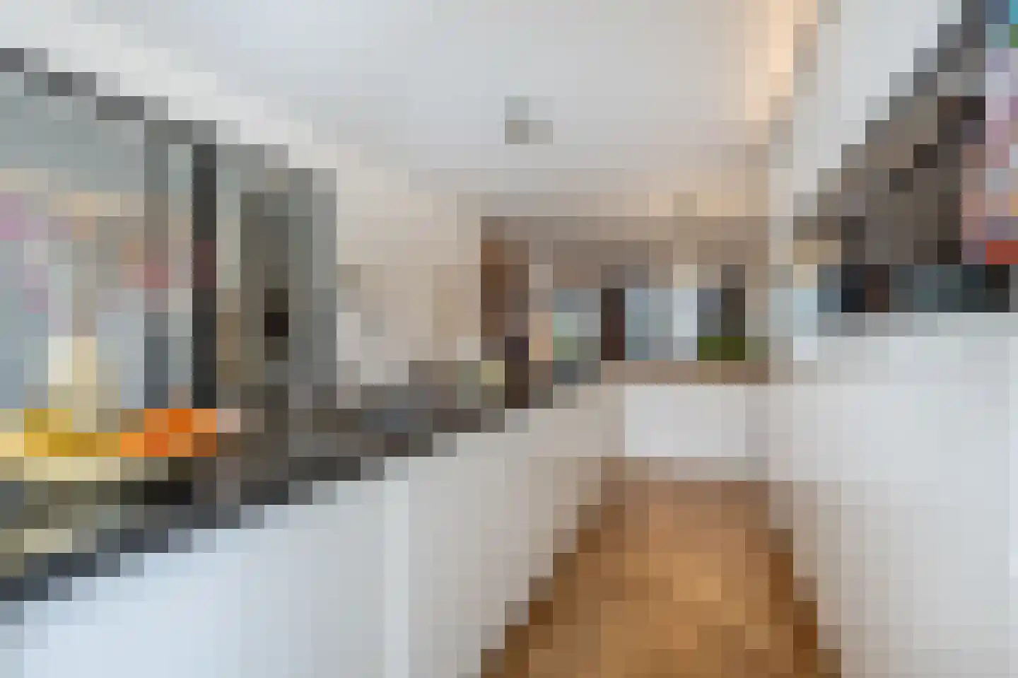 Schieweg 63 A Rotterdam thumbnail 7