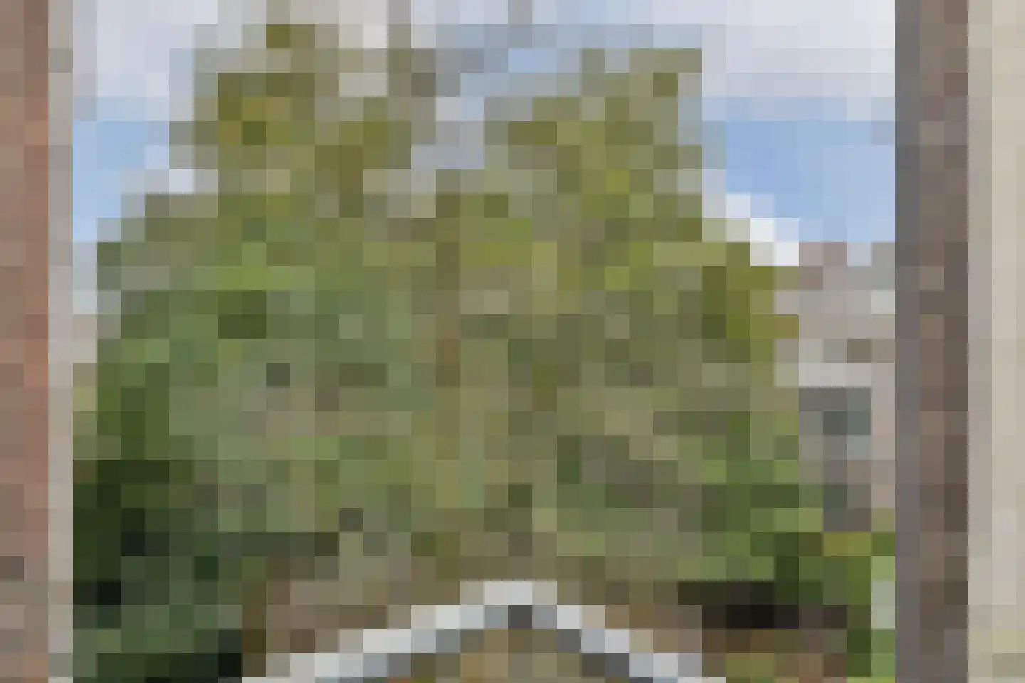 Schieweg 7 A 03 Rotterdam thumbnail 15