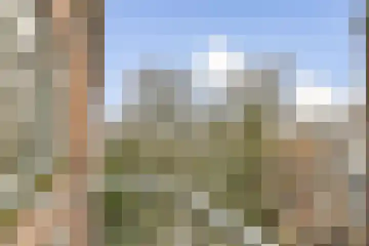 Schieweg 7 B Rotterdam thumbnail 12