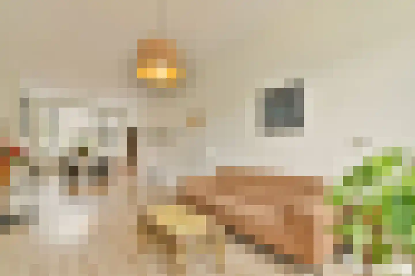Schieweg 7 B Rotterdam thumbnail 8