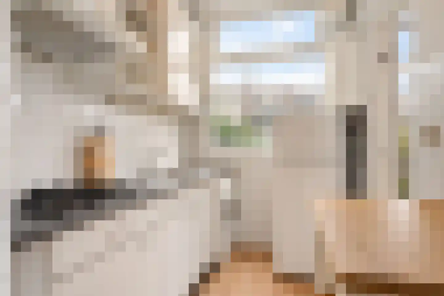 Schieweg 87 B Rotterdam thumbnail 23