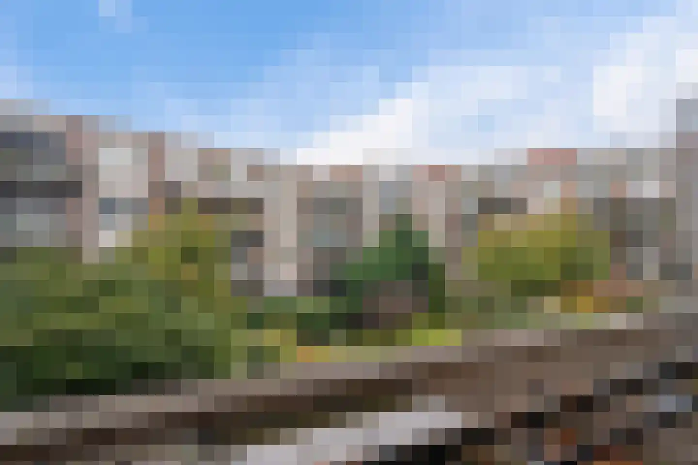 Schieweg 87 B Rotterdam thumbnail 27