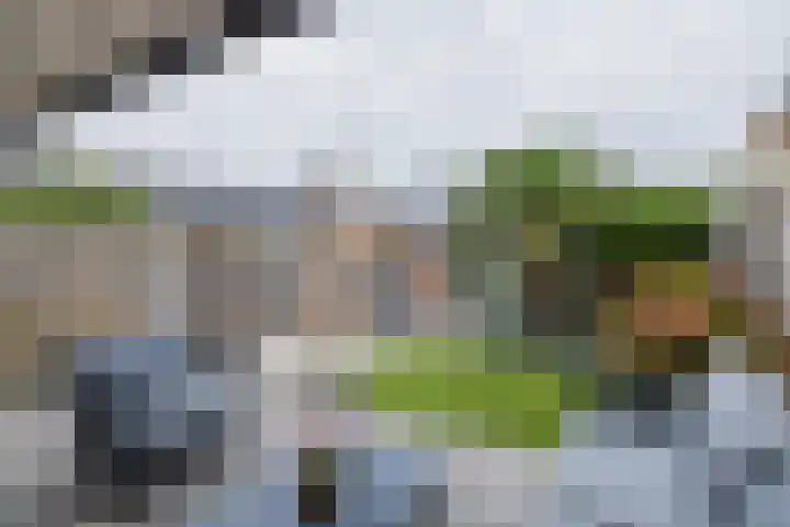 Schiewei 16 Noordwijk thumbnail 11