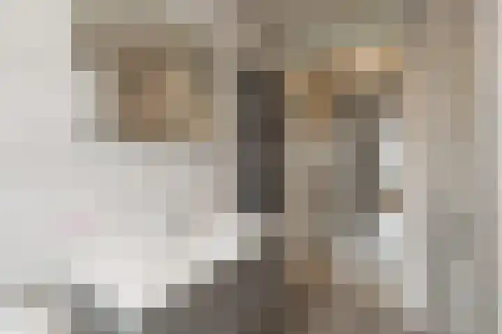 Schiewei 16 Noordwijk thumbnail 17