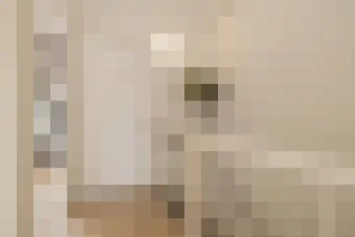 Schiewei 16 Noordwijk thumbnail 25