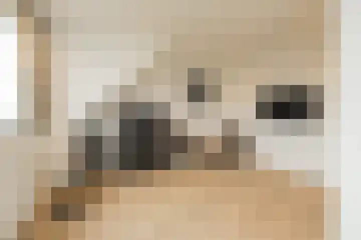 Schiewei 16 Noordwijk thumbnail 30