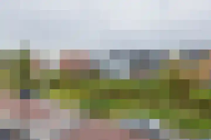 Schiewei 16 Noordwijk thumbnail 31
