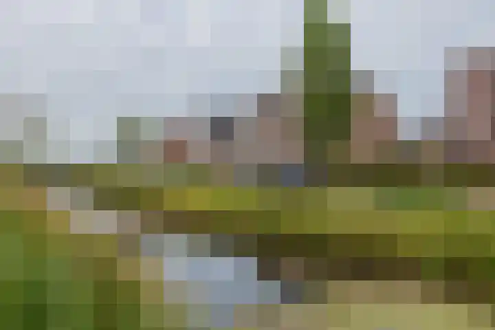 Schiewei 16 Noordwijk thumbnail 33