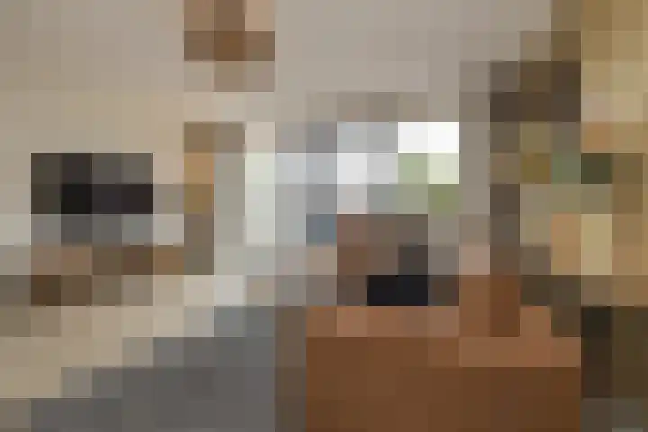 Schiewei 16 Noordwijk thumbnail 7