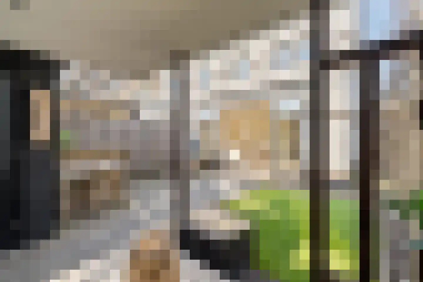 Schiewei 5 Noordwijk thumbnail 12