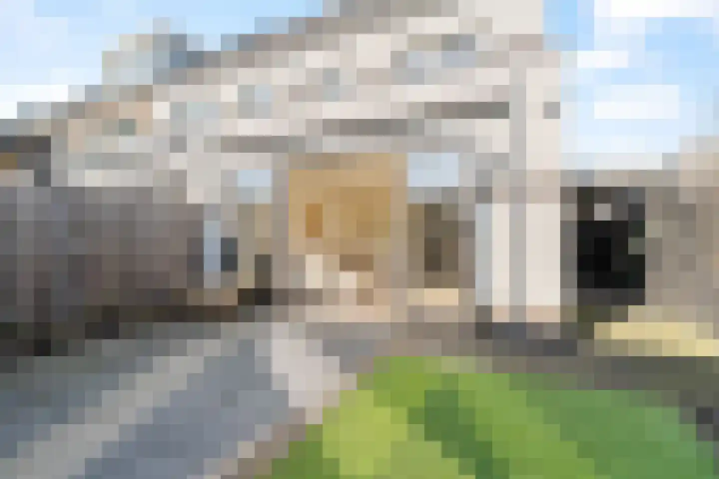 Schiewei 5 Noordwijk thumbnail 14