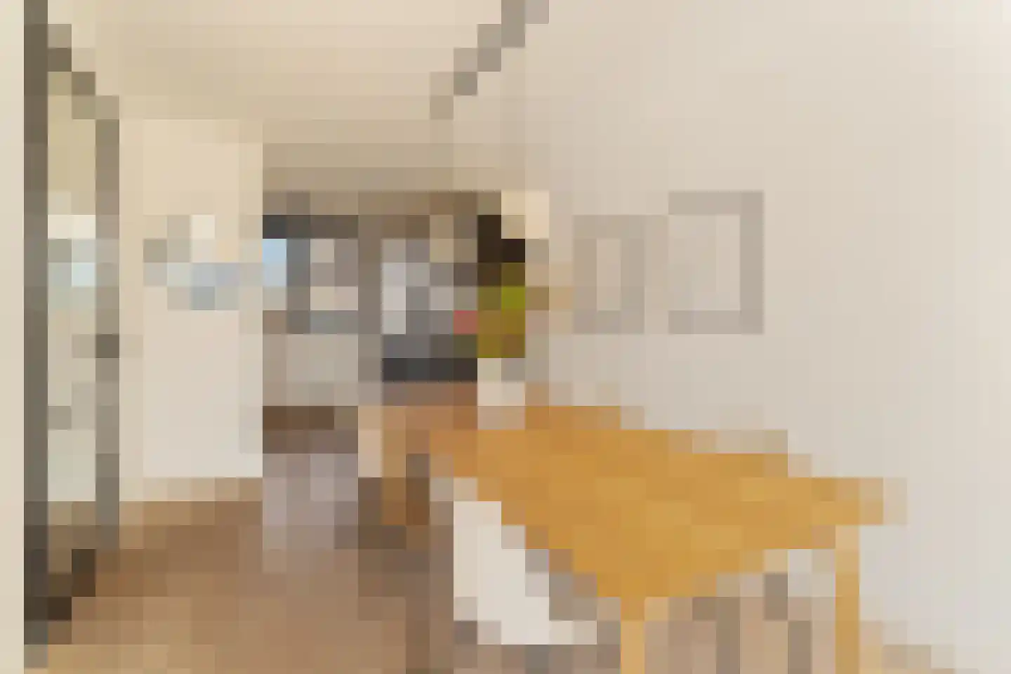 Schiewei 5 Noordwijk thumbnail 17