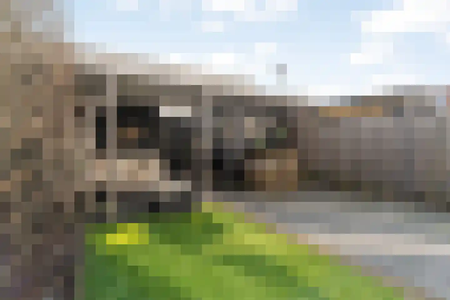 Schiewei 5 Noordwijk thumbnail 9