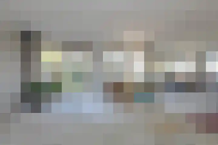 Schijfkamille 19 Breda thumbnail 10