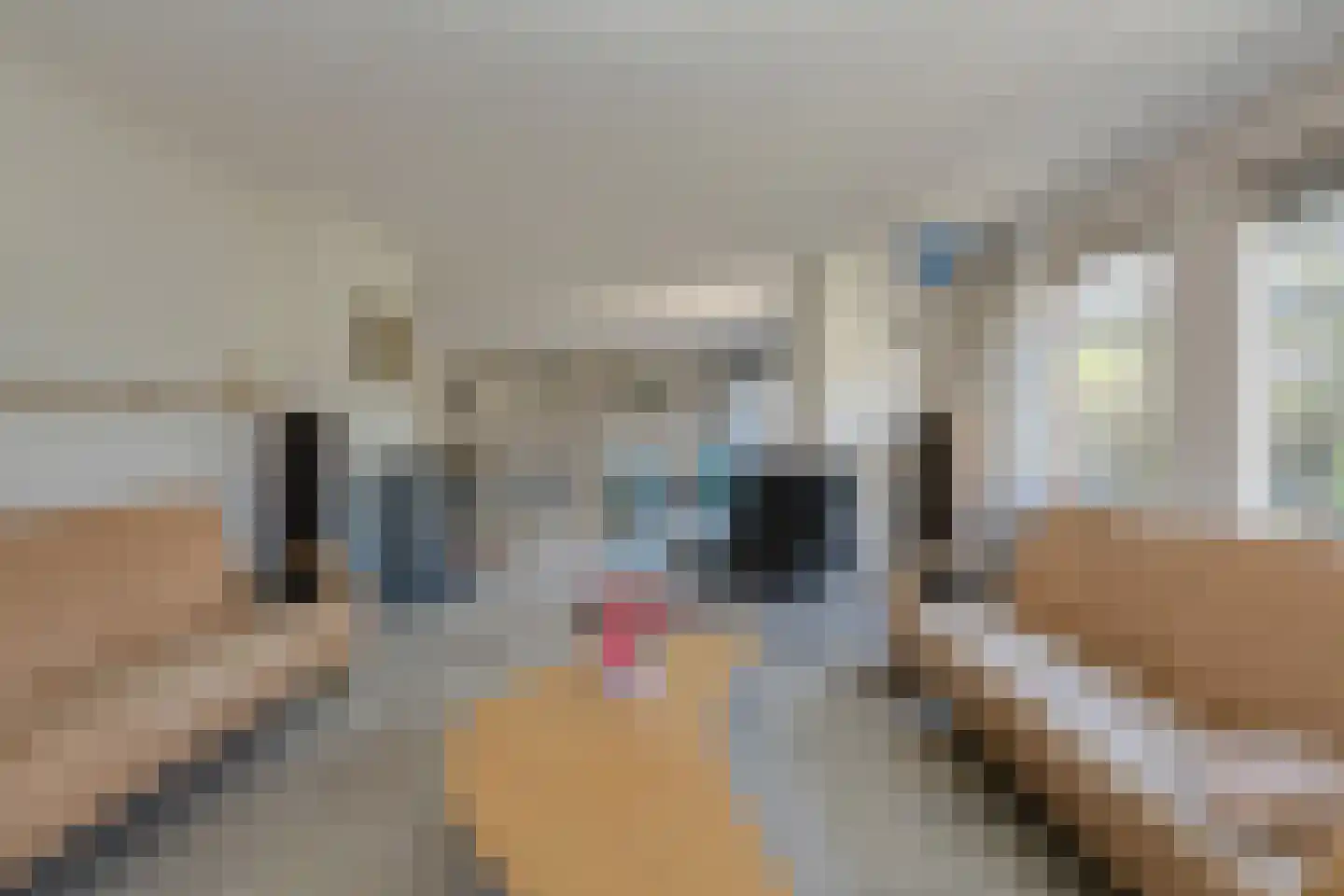 Schijfkamille 19 Breda thumbnail 10